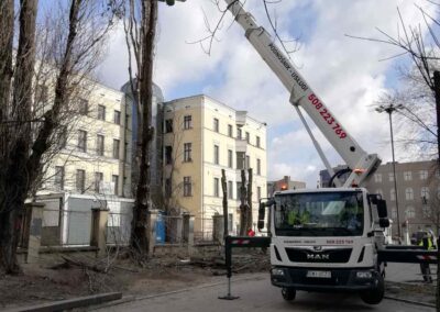Podnośnik koszowy - praca przy ścince drzew Łódź